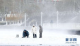 驻马店市将再迎降雪降温天气　最低气温将达到-14℃