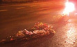 货车深夜抛锚驾驶员折樱花枝“示警”，致面包车追尾司机身亡