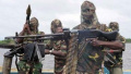 “博科圣地”武装袭击尼日利亚东北部村庄致86人死