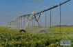 水利部：中国近五年农业灌溉用水总量实现零增长
