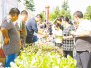 展示乡村新貌　漯河市举办首届中国农民丰收节