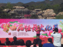 牡丹文化节在北京西山国家森林公园开幕