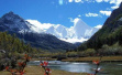 雅鲁藏布大峡谷对藏东南气候有什么影响？