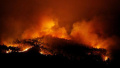 葡萄牙森林大火致58死 西班牙派直升机协助灭火