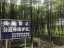 东西湖新洲新增森林小游园 武汉坐拥中国城市森林第一环