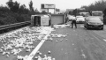 石家庄：货车侧翻苹果铺满车道　高速交警帮助清理回收