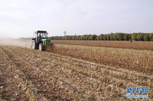 到2020年,山东力争农业生产服务业主体达到2