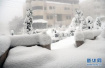暴风雪将袭击日本北海道等地　政府发布雪崩预警