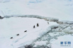 南极旅游出新规　减少人类活动对南极环境的影响
