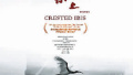 《塬上》获莫斯科电影节最高奖 用电影语言讲好中国故事