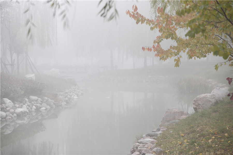11月13日，大雾中的郑州某高校。（郭浩 摄）